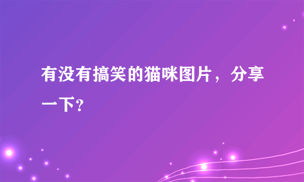有没有搞笑的猫咪图片，分享一下？