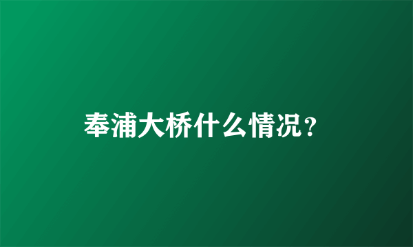 奉浦大桥什么情况？