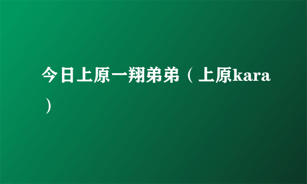 今日上原一翔弟弟（上原kara）