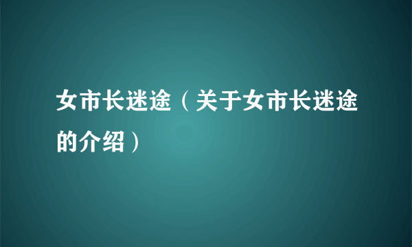 女市长迷途（关于女市长迷途的介绍）