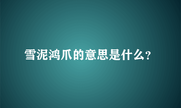 雪泥鸿爪的意思是什么？
