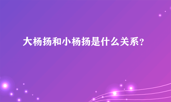大杨扬和小杨扬是什么关系？