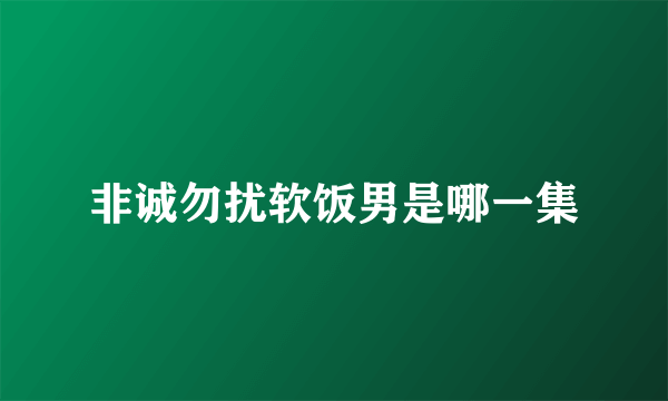 非诚勿扰软饭男是哪一集