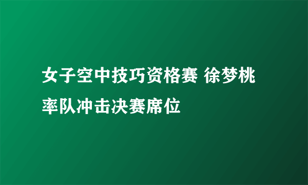 女子空中技巧资格赛 徐梦桃率队冲击决赛席位