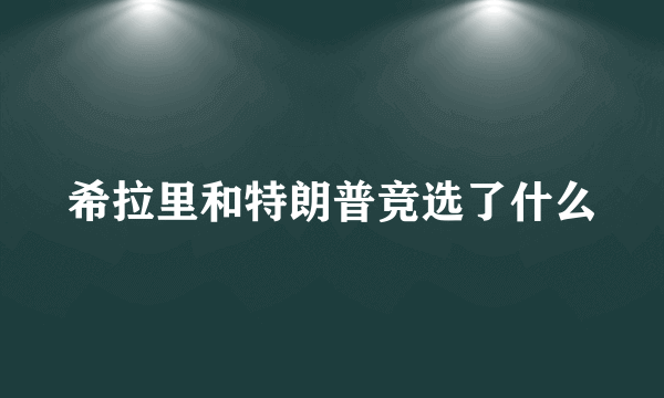 希拉里和特朗普竞选了什么