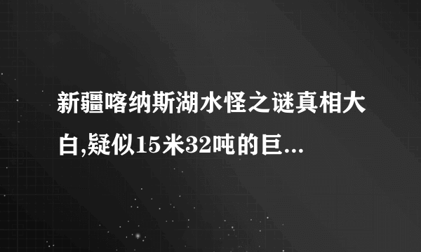 新疆喀纳斯湖水怪之谜真相大白,疑似15米32吨的巨型哲罗鲑(视频)