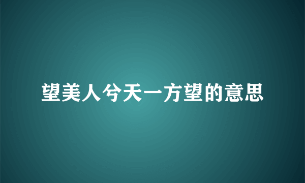 望美人兮天一方望的意思