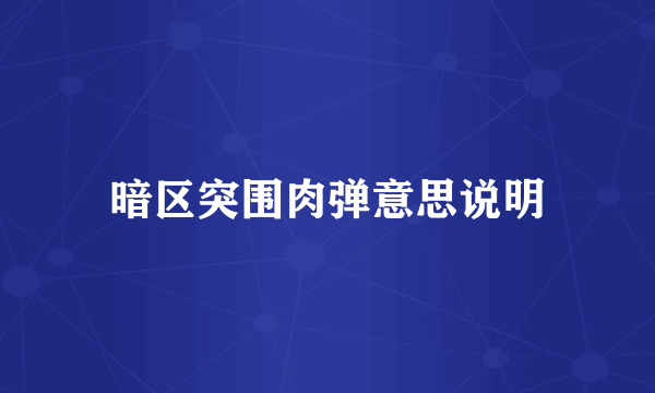 暗区突围肉弹意思说明