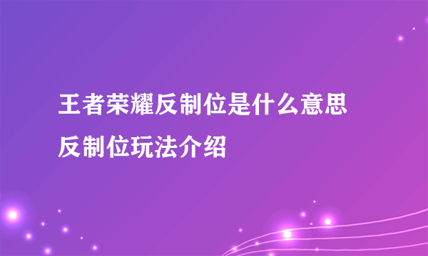 王者荣耀反制位是什么意思 反制位玩法介绍