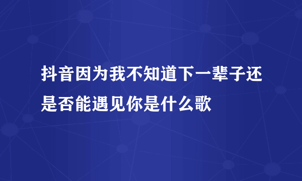 抖音因为我不知道下一辈子还是否能遇见你是什么歌