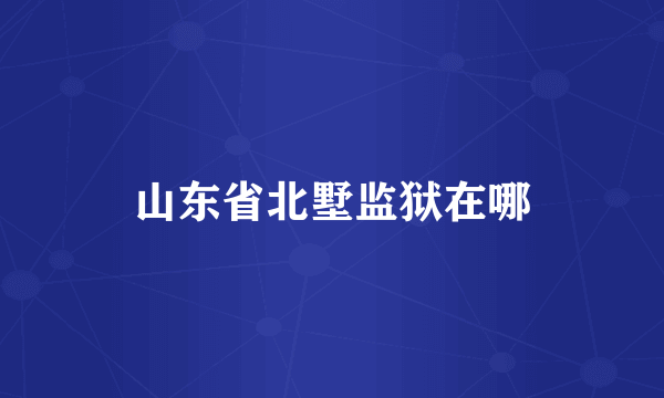 山东省北墅监狱在哪