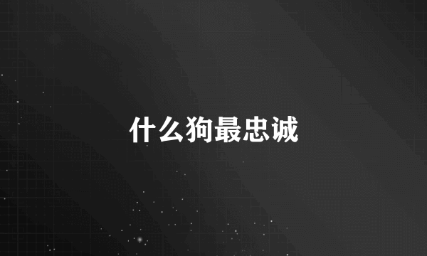 什么狗最忠诚