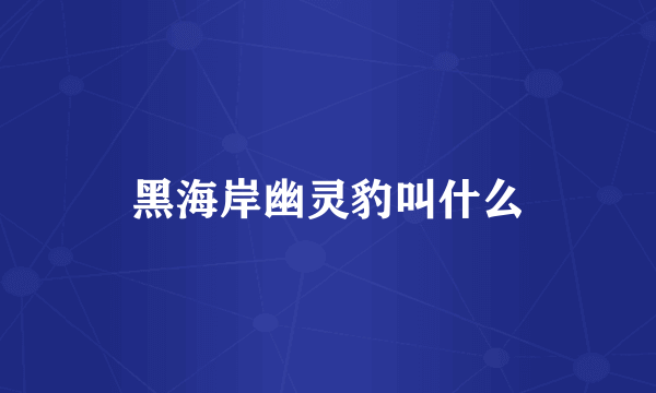 黑海岸幽灵豹叫什么