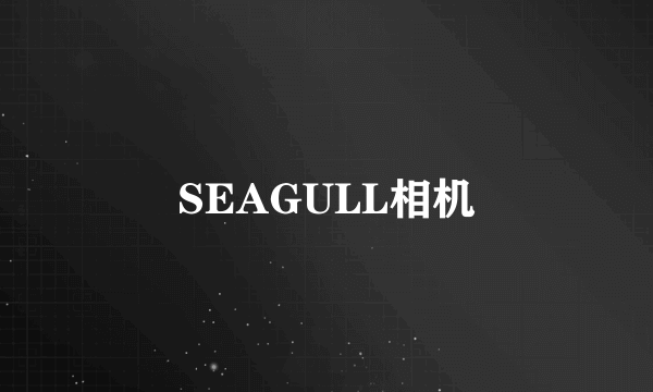 SEAGULL相机