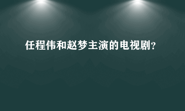 任程伟和赵梦主演的电视剧？