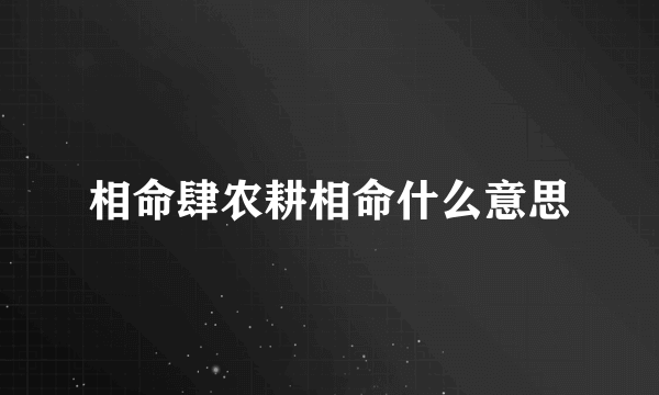 相命肆农耕相命什么意思