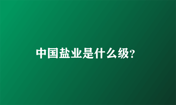 中国盐业是什么级？