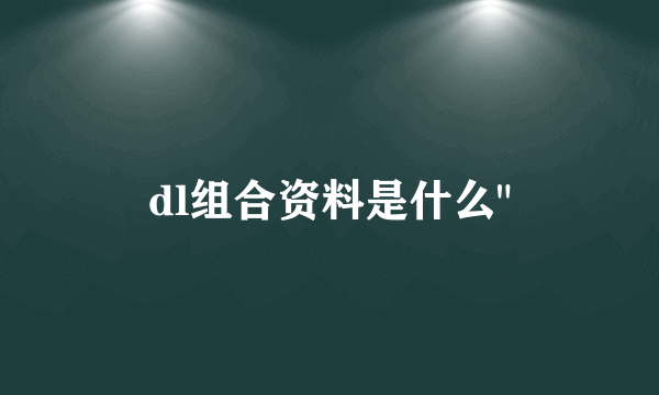 dl组合资料是什么