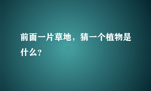 前面一片草地，猜一个植物是什么？