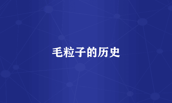 毛粒子的历史