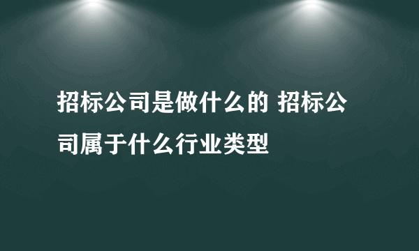 招标公司是做什么的 招标公司属于什么行业类型