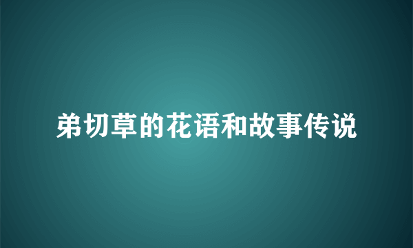 弟切草的花语和故事传说