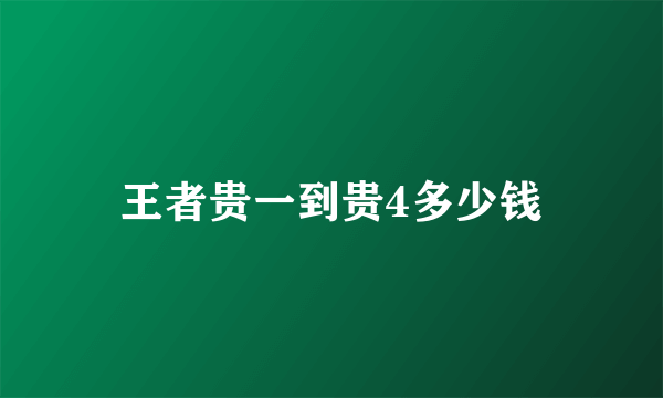 王者贵一到贵4多少钱