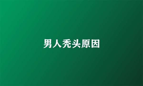 男人秃头原因