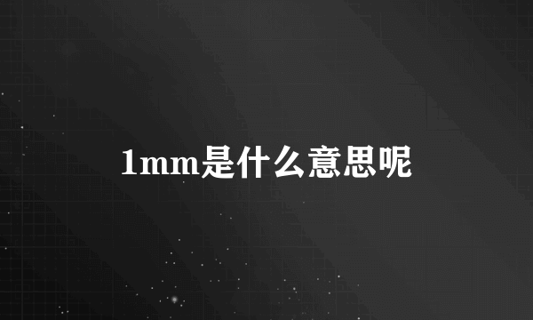 1mm是什么意思呢