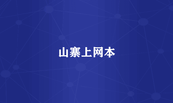 山寨上网本
