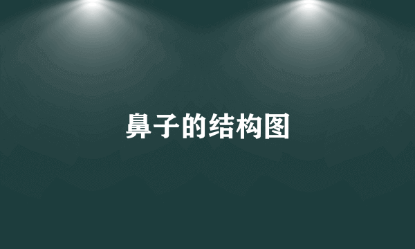 鼻子的结构图