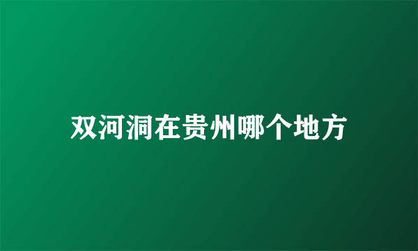 双河洞在贵州哪个地方