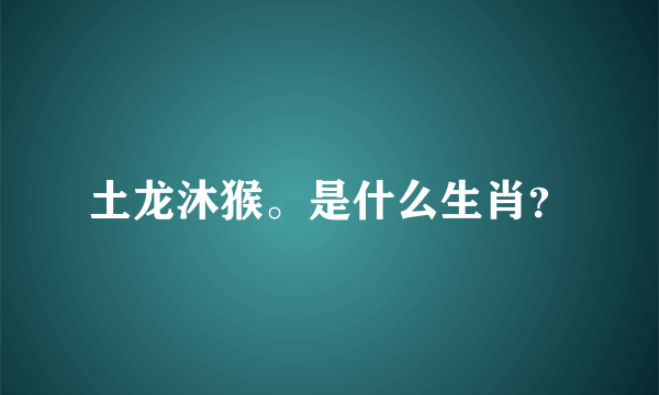 土龙沐猴。是什么生肖？