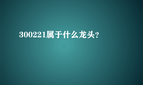 300221属于什么龙头？