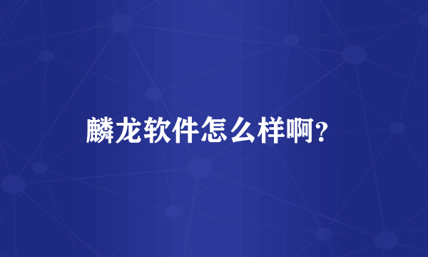 麟龙软件怎么样啊？