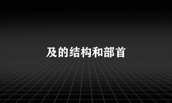 及的结构和部首