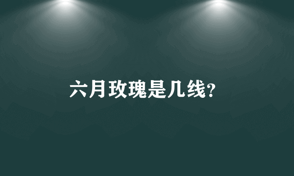 六月玫瑰是几线？