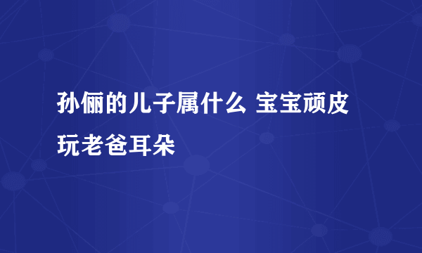 孙俪的儿子属什么 宝宝顽皮玩老爸耳朵