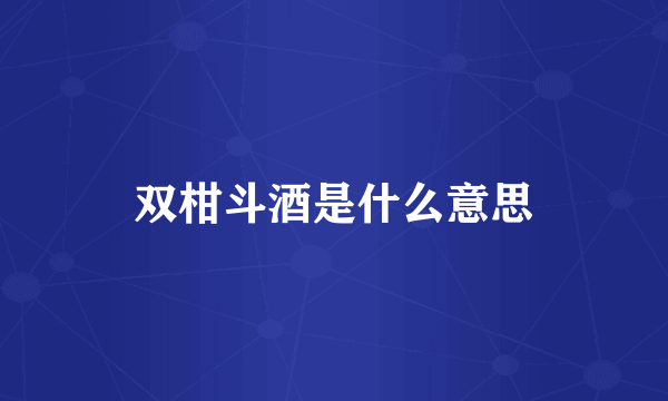 双柑斗酒是什么意思