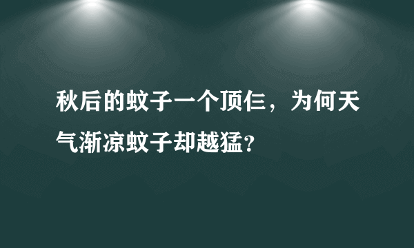 秋后的蚊子一个顶仨，为何天气渐凉蚊子却越猛？