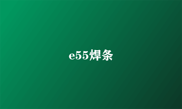 e55焊条