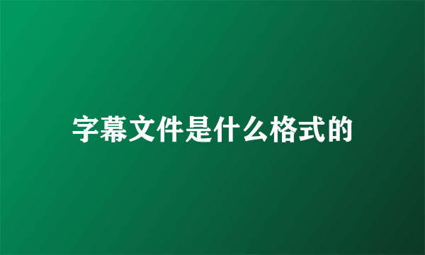 字幕文件是什么格式的