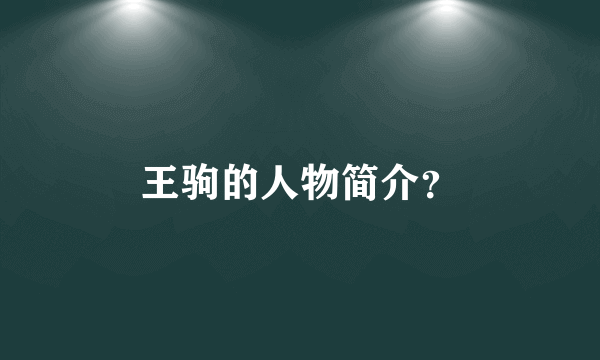 王驹的人物简介？