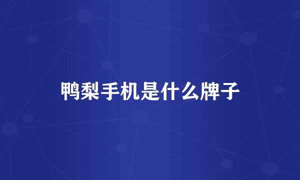 鸭梨手机是什么牌子