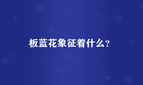 板蓝花象征着什么？