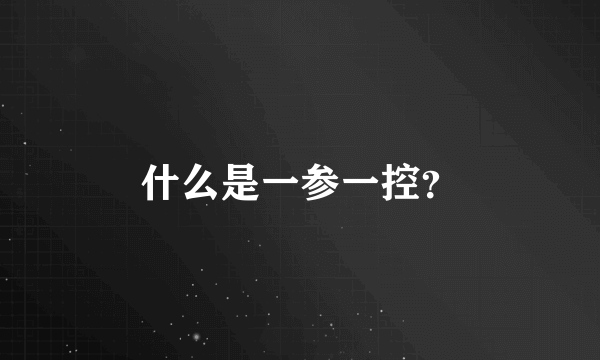 什么是一参一控？