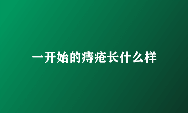 一开始的痔疮长什么样