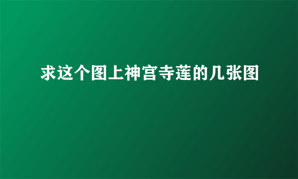 求这个图上神宫寺莲的几张图