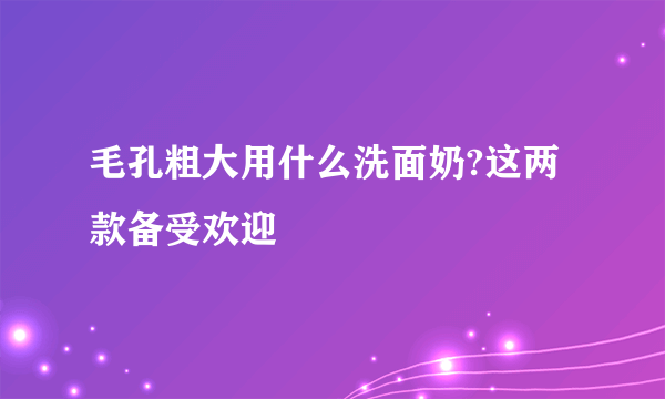 毛孔粗大用什么洗面奶?这两款备受欢迎