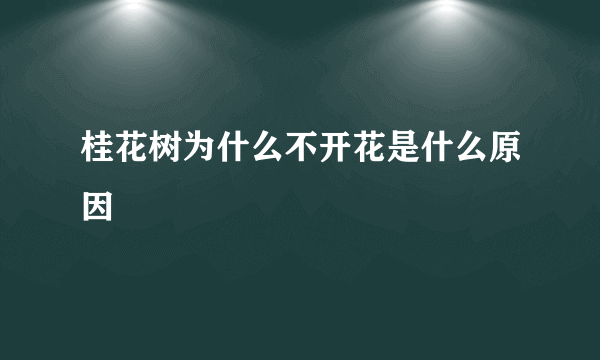 桂花树为什么不开花是什么原因